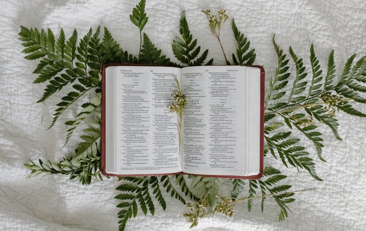 Bible Study Planners, Trackers & Worksheets