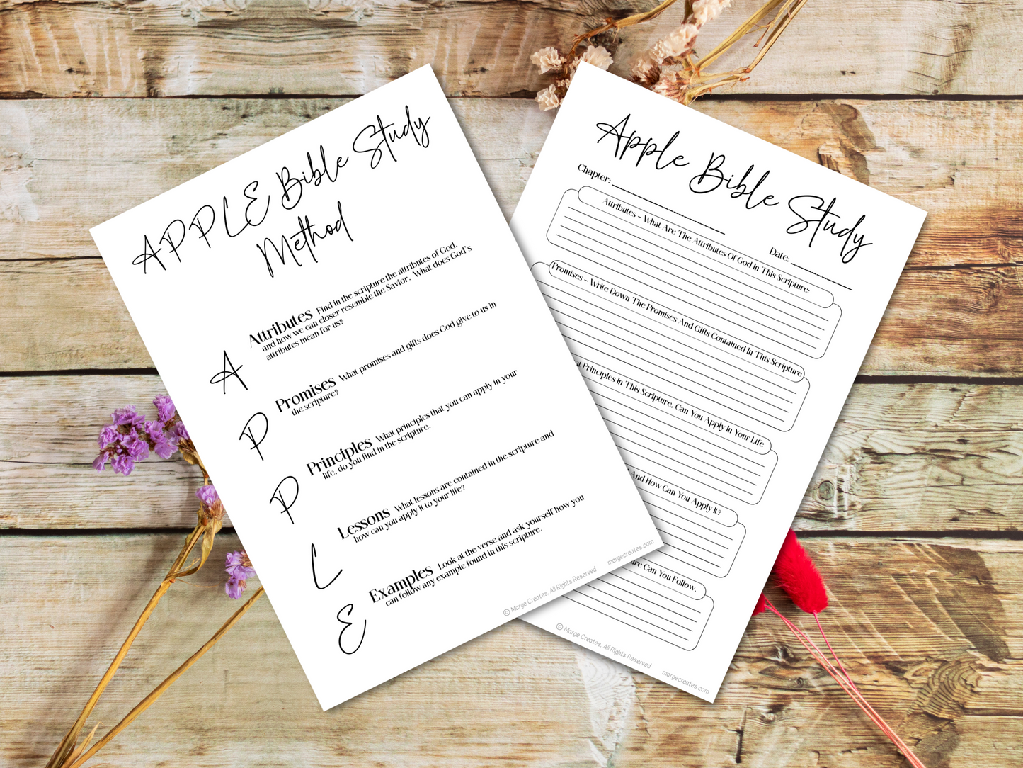 APPLE Bible Study Method Worksheet